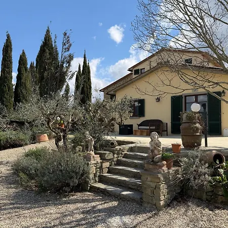 Eleonora Cortona