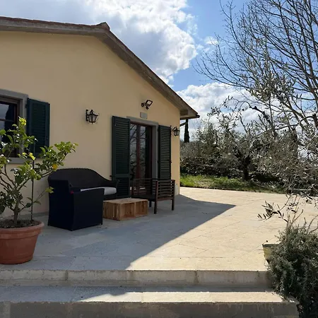 Eleonora Cortona