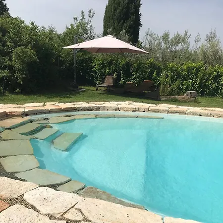Eleonora Cortona
